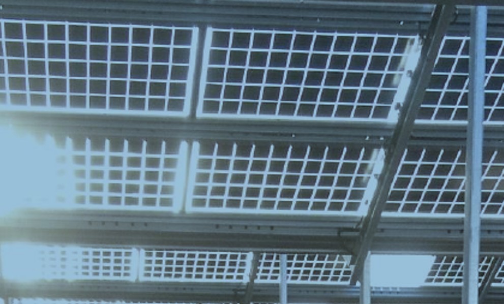 bifacial