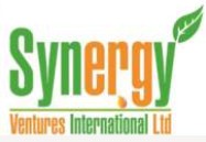 synergy logo