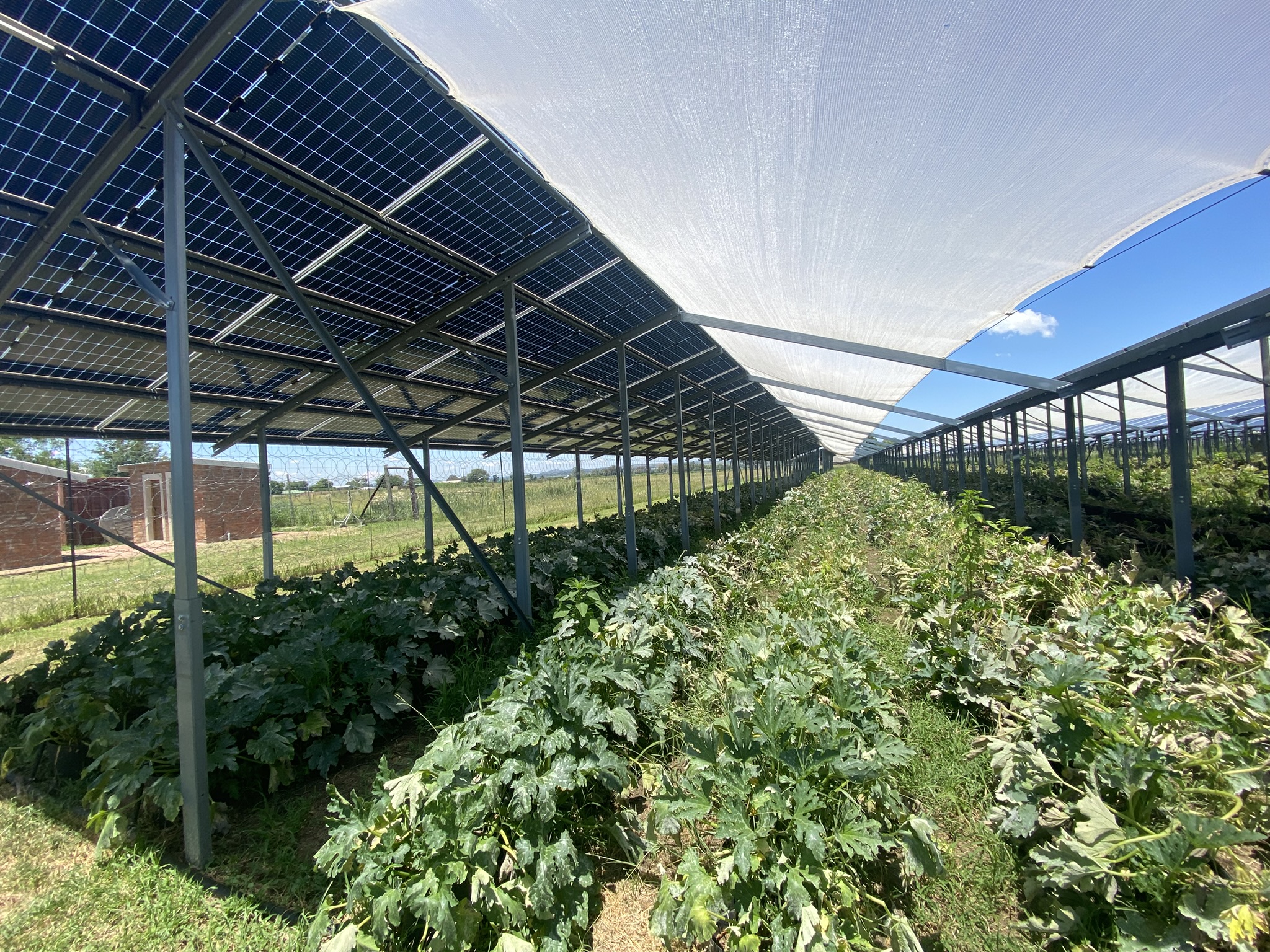 SUNFARMING INTERNATIONAL Agri solar plant in South Africa